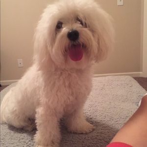 Meet your Posher, Yoonjung